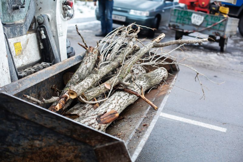 Beaver Activity Near Homes: Flooding Risks And Wildlife Control Options