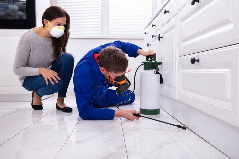 Centipede Extermination in Arlington, TX