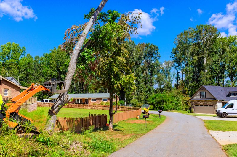 Why Beavers Target Culverts And Drainage Channels Near Homes