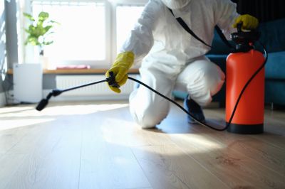 Hobo Spider Extermination in Katy, TX